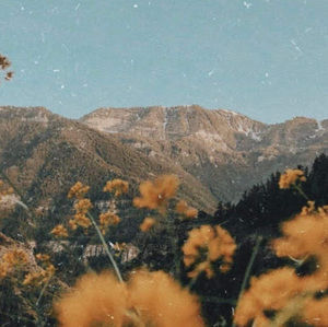 Meet your Posher, Stella